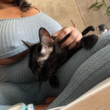 Photo from Mz_KushKitteh album