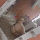 Photo from Dollmelly1 album