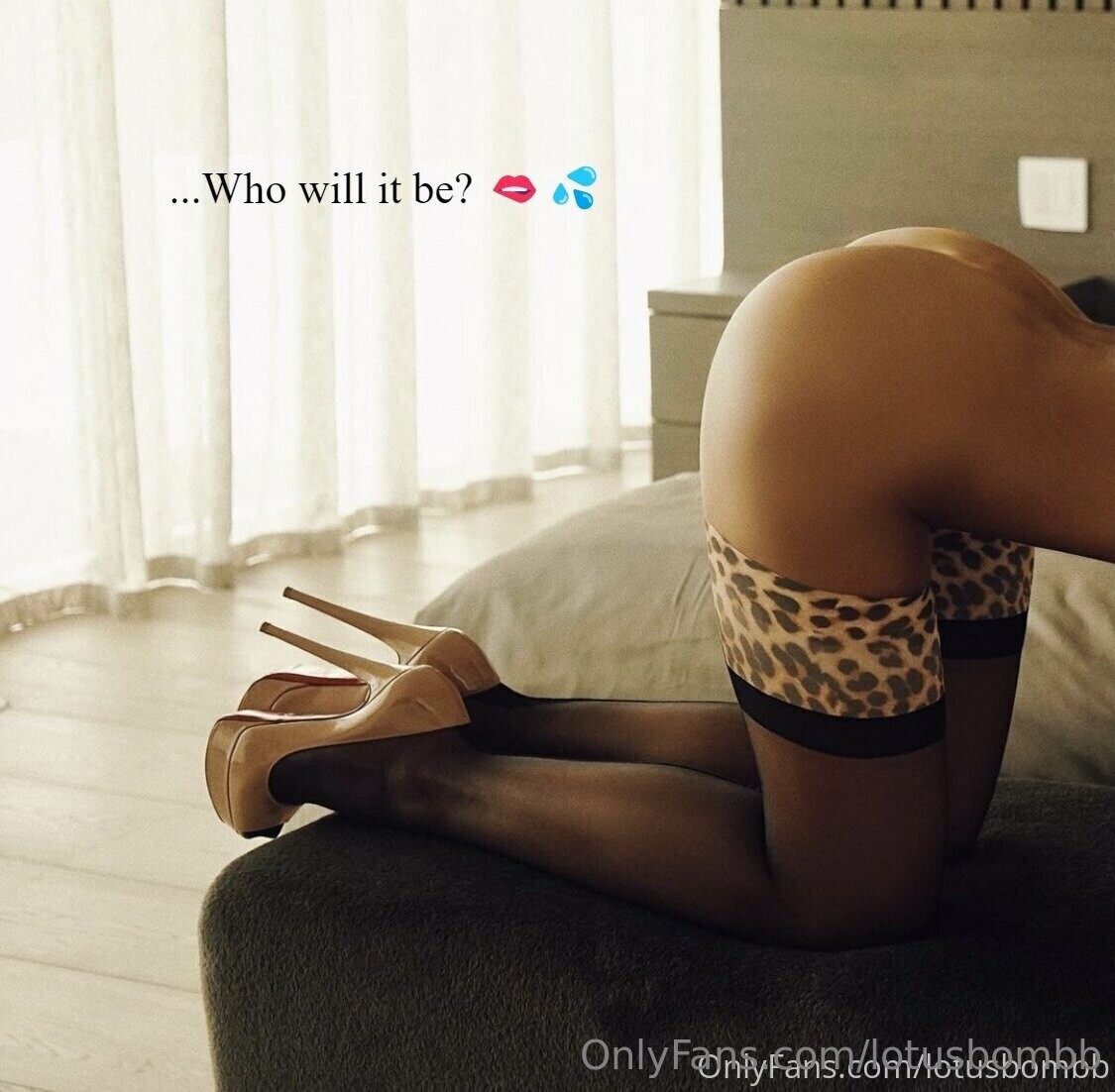 Photo full Lotus Bomb