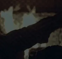 Imagem do álbum
